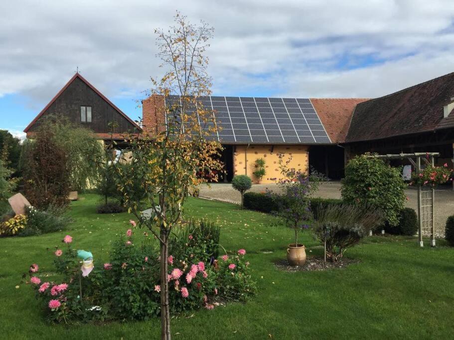 Gite La Maison De Jules Muntzenheim Exterior foto